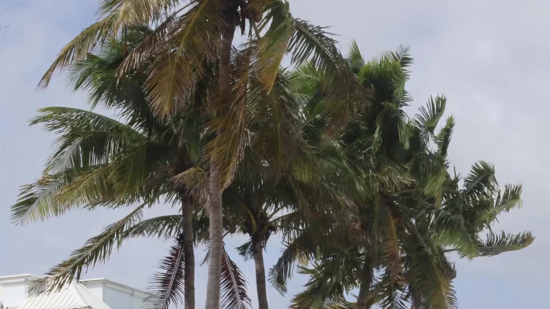 Tropical Storm Imelda, Aftermath, Nassau, Bahamas - 9/29/2025