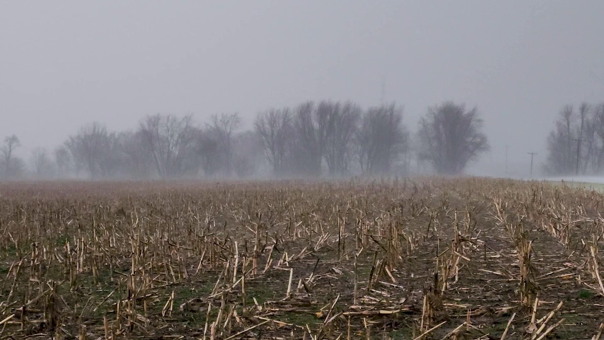 Severe Storms Impact Central Missouri With Lots Of Hail
