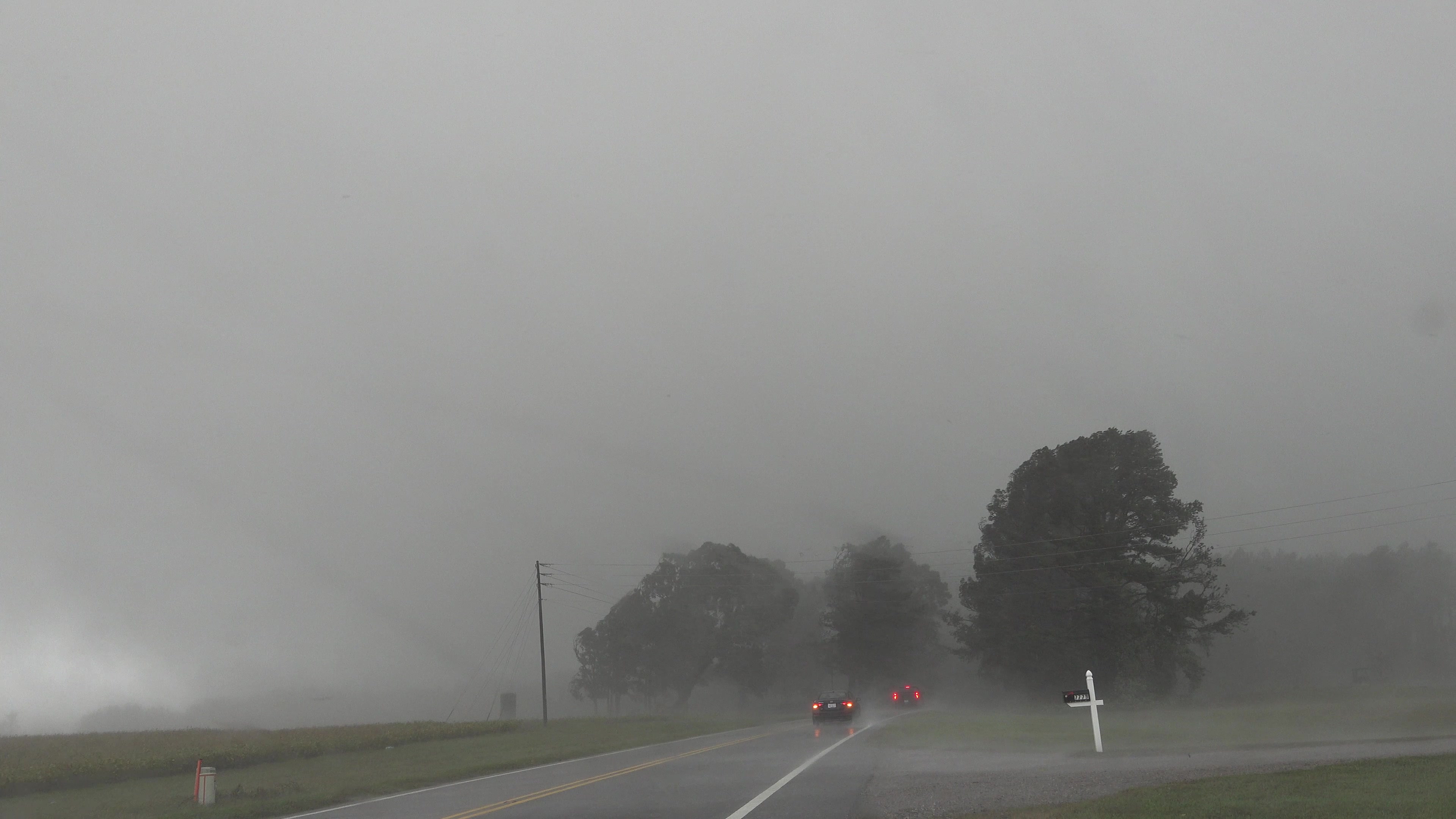 Tornado causes power flashes and knocks down trees in front of cars