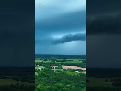 Intense Lightning Storm last night in Alabama